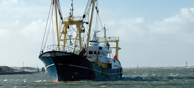 Fischtrawler Fischtrawler